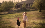 Звуки: утро в деревне